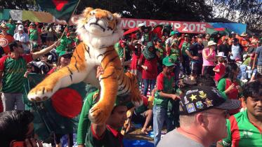 Tigers cheer for Tigers