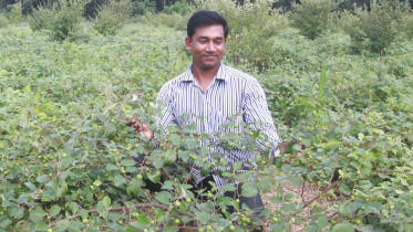 farmer Moslem Uddin.jpg