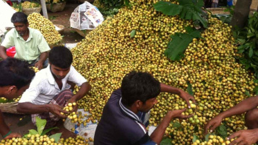 Farmers smiles lotkon.jpg