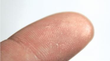 fingerprint