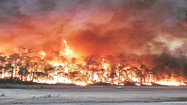 fire.jpg