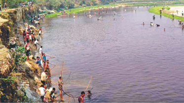 Fish En Masse 4.jpg