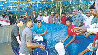 fish harvest Biofloc technology.jpg