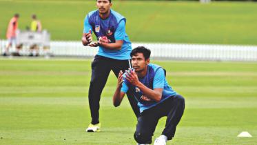 Intense Tigers seek correction