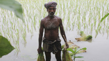 flood-affected-growers-farmers.jpg