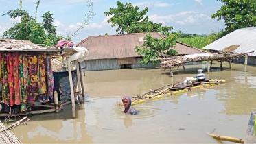 flood.jpg
