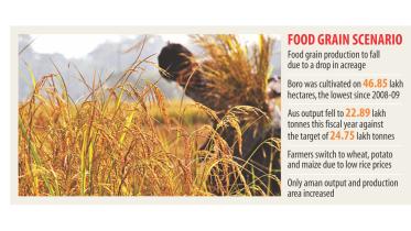 Food grain production.jpg