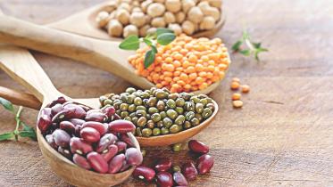 Food philosophies 1.jpg