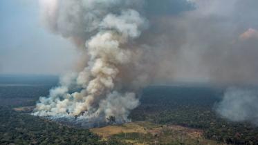 Forest fire.jpg