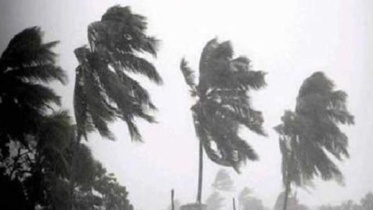 gaja_PIB India_Twitter.JPG