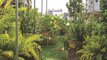 Bangladesh National environment fair 2018