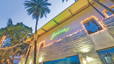 Gardenia churrascaria