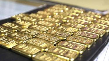 Customs intelligence officials Gold Bars seized