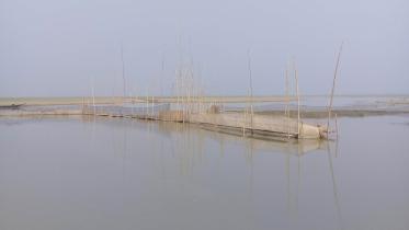 Hakaluki Haor fish.jpg