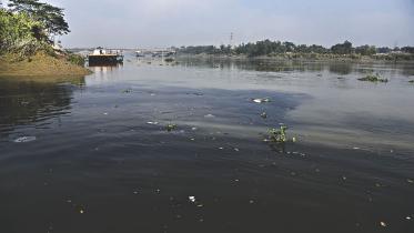 Big industries killing Halda