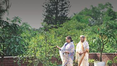 Hasina A Daughter's Tale docudrama