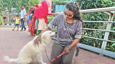 Hatirjheel Dog Walkers Club