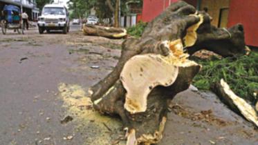 Heart-broken in Gulshan