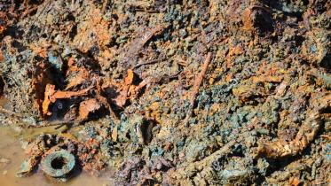 Heavy Metals in Soil.jpg