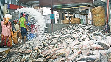 hilsa-flooding-Barishal.jpg