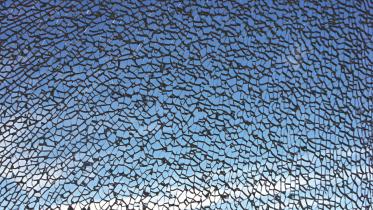 History and society in the shaping