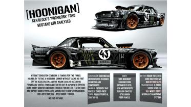 honigan infograph.jpg