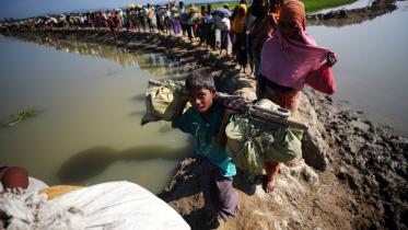 How fruitful can it be