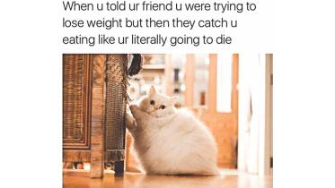 How to help a friend lose weight