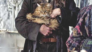 How to react to strangers having private conversations in public