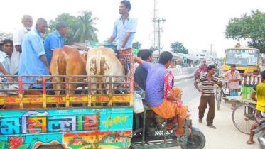 Improvised three-wheelers.jpg