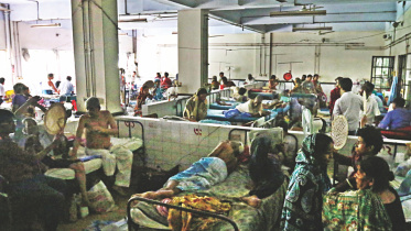 In the sweltering summer.jpg