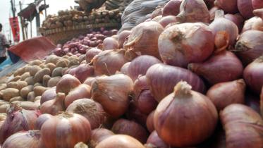 India onion export price