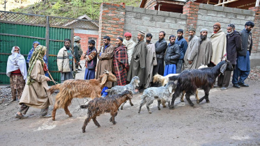 indian election 1.jpg