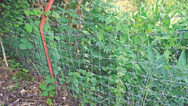 indigenous land grabbing 1.jpg