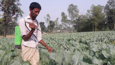 Indiscriminate use pesticides.jpg