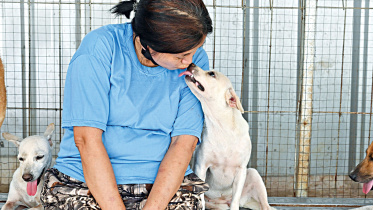 Indonesia-dog-doctor.jpg