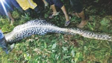 Indonesian farmer.jpg