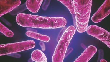 infectious disease.jpg