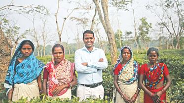 Inside the Cha Polli