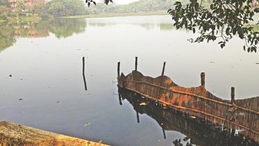 Jahangirnagar University 1.jpg
