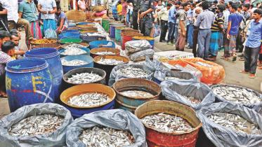 jatka cause gill net.jpg