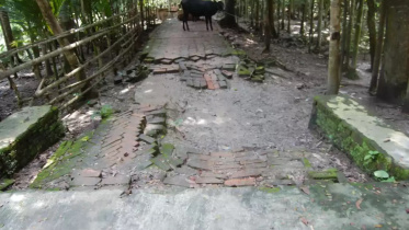 Jhalakathi villagers suffer.jpg