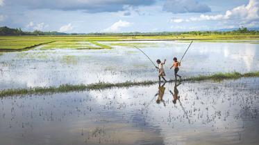 Just One Inch of Water