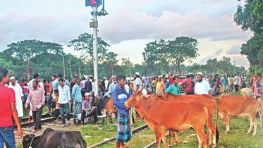 Kamalganj upazila.jpg