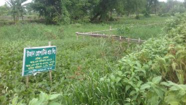 Khudiar Khal khulna.jpg