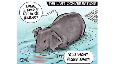 Killing-pregnant-elephant-India.jpg