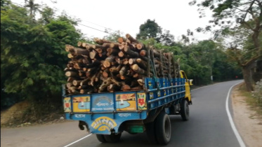 Kulaura forest danger 1.jpg