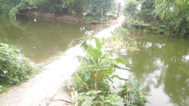 Kumlai river in Dimla.jpg