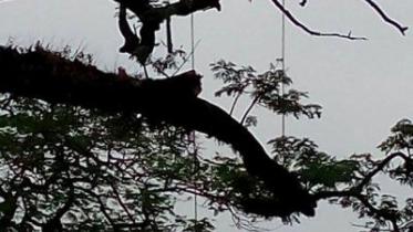 Lack of safety of lives.jpg