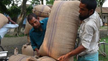 Lalmonirhat farmers bleak future.jpg